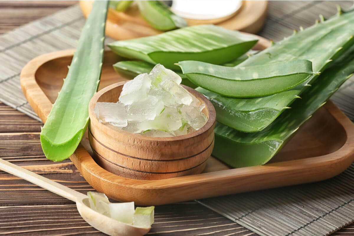 Aloe vera para recuperar el cabello