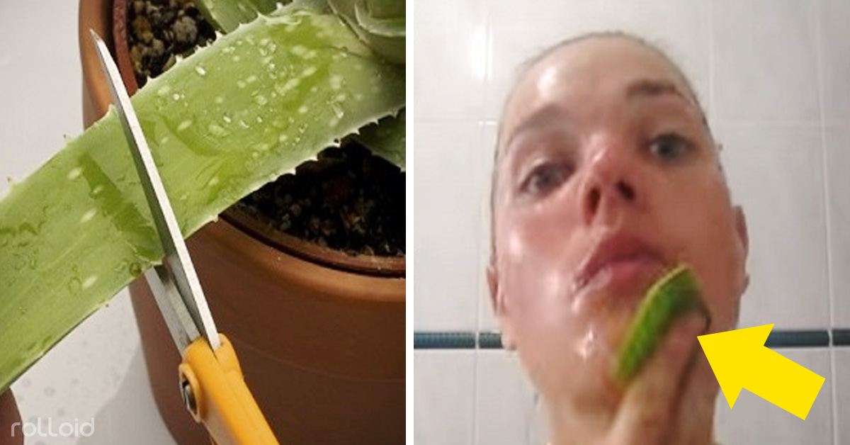 La aloe vera es buena para la piel