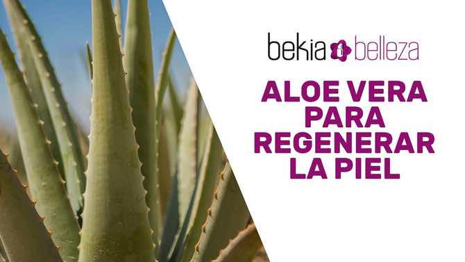 Aloe vera para quemaduras de cera