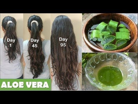 Recetas para el cabello con aloe vera