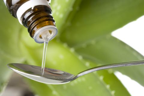 Aloe vera usos y propiedades