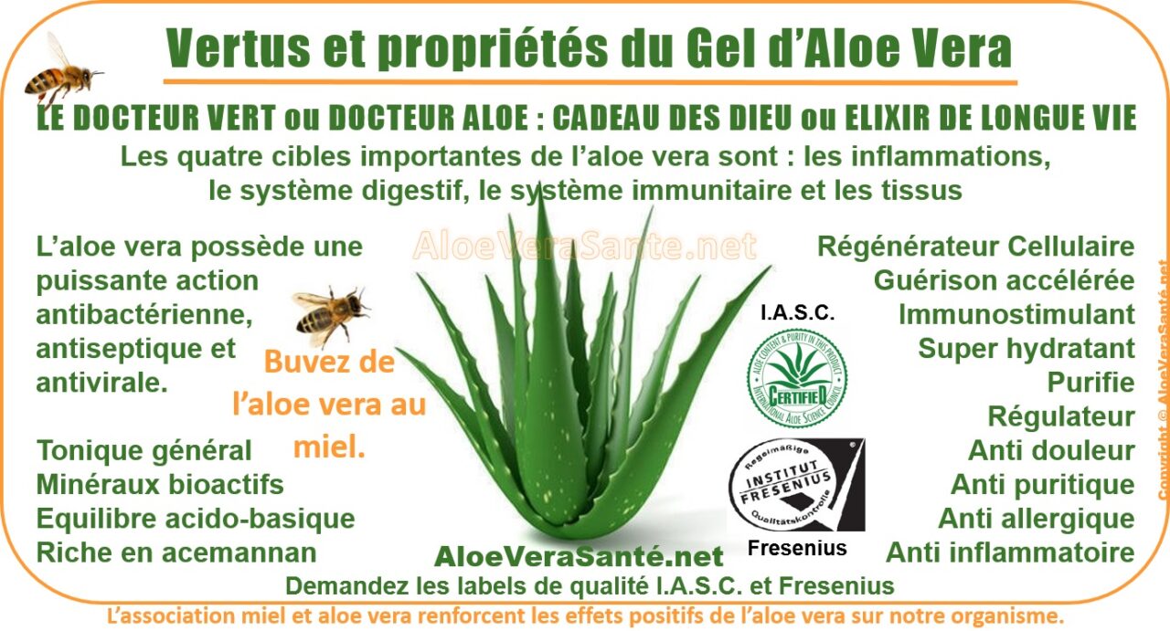 Gel aloe vera comestible