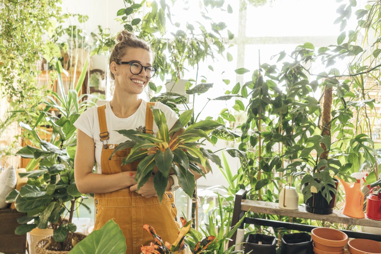 Como cuidar espatifilo planta
