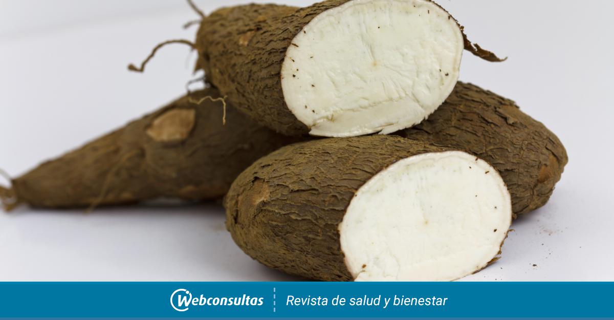 Que es la yuca comestible
