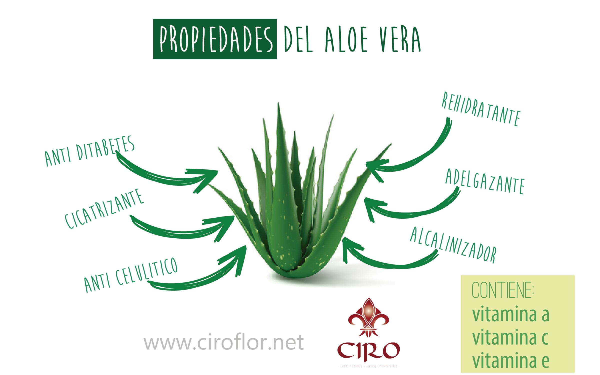 Prpiedades del aloe vera