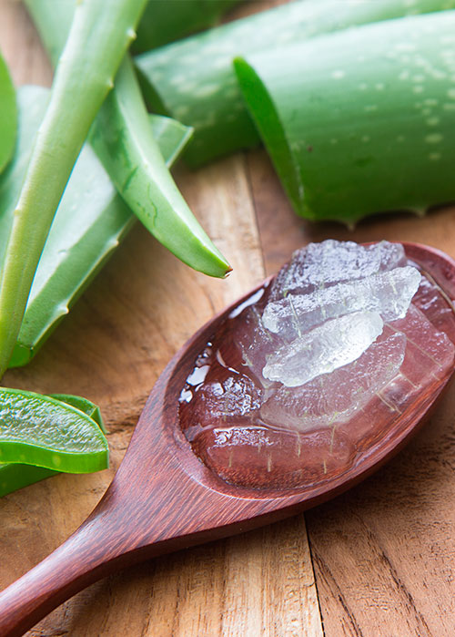 Remedios caseros con aloe vera