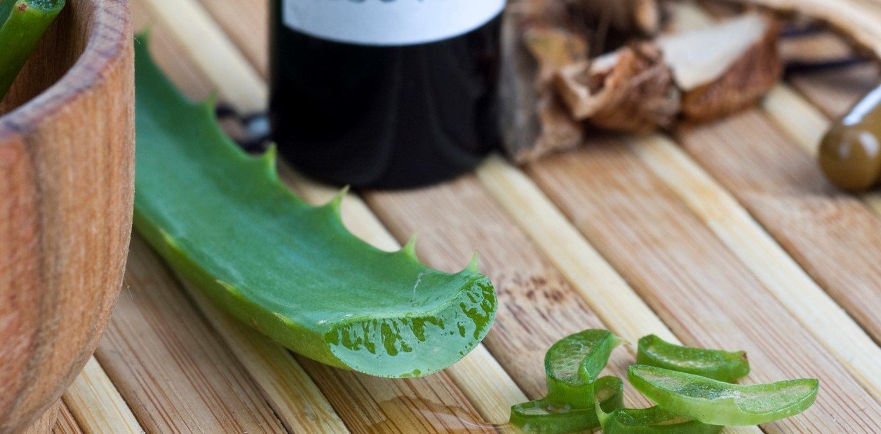 10 beneficios del aloe vera