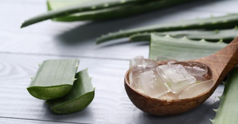 Aloe vera para desinflamar el colon
