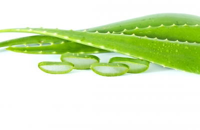 Como se prepara el aloe vera para el colon