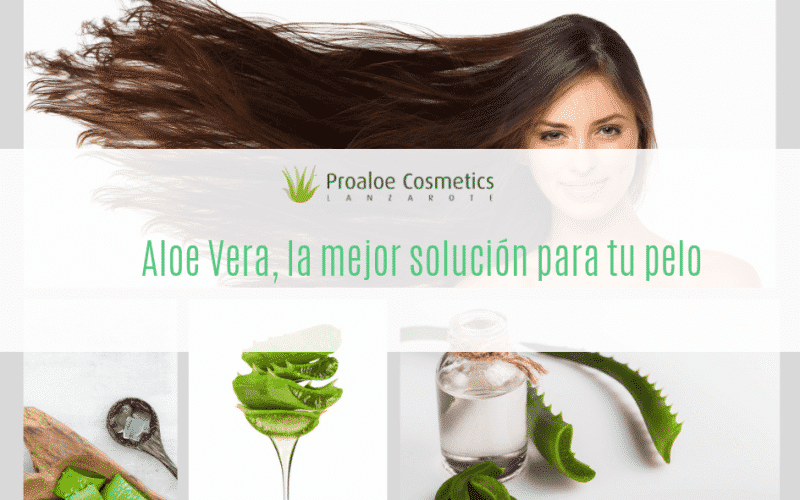 Bondades del aloe vera