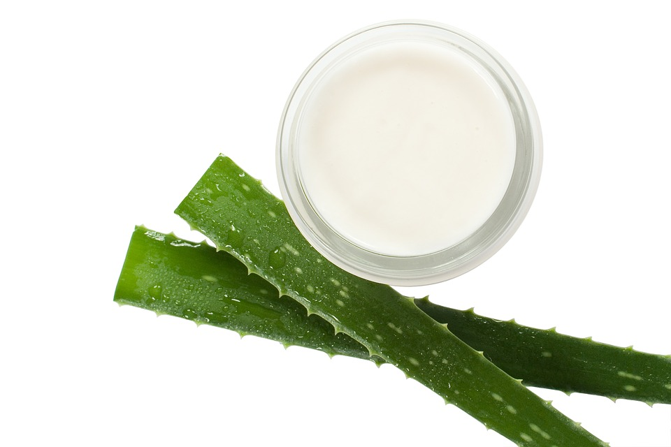 Aloe vera en el dormitorio