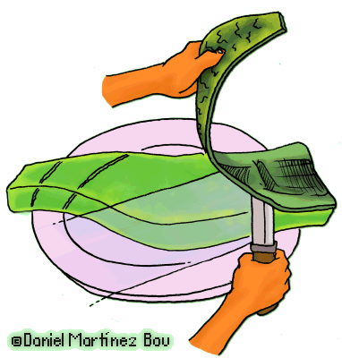 Jugo de aloe vera contraindicaciones