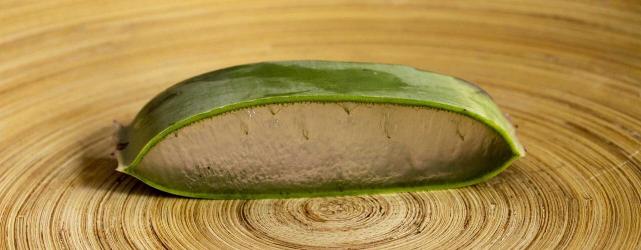Yogur aloe vera propiedades