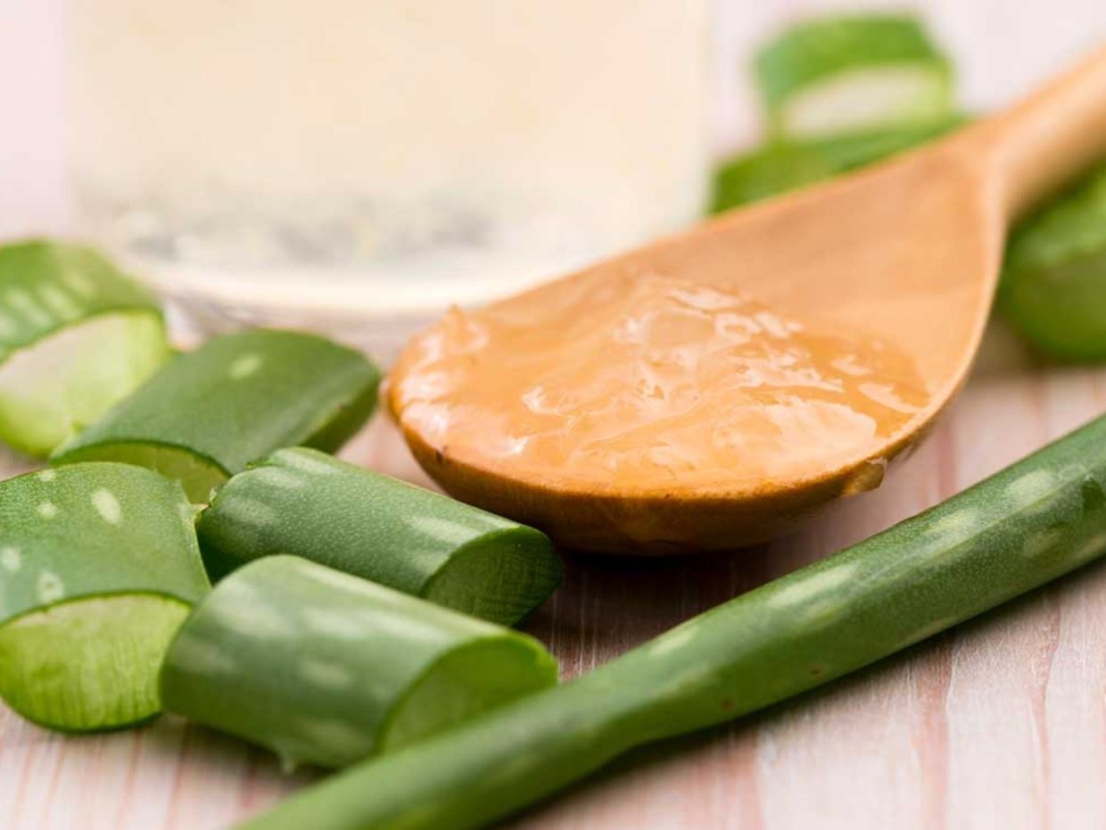 Como hacer aloe vera en polvo