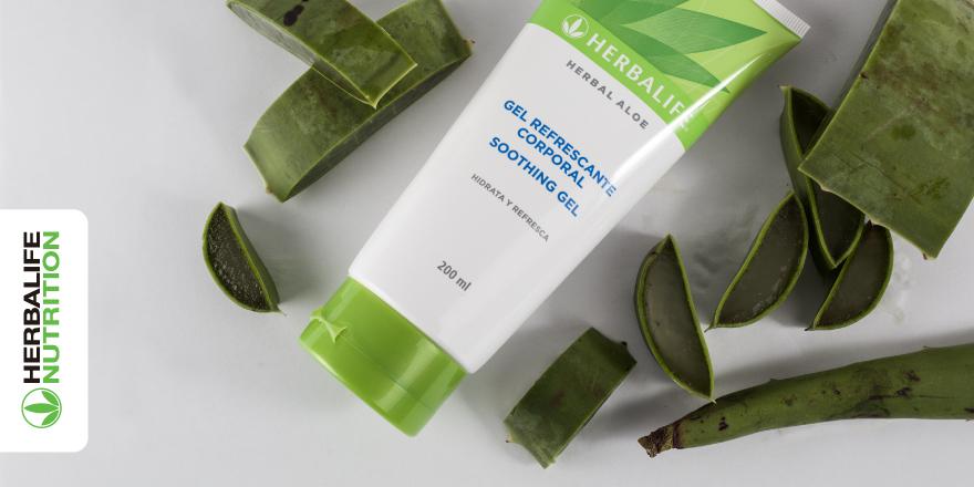 Aloe vera en gel herbalife