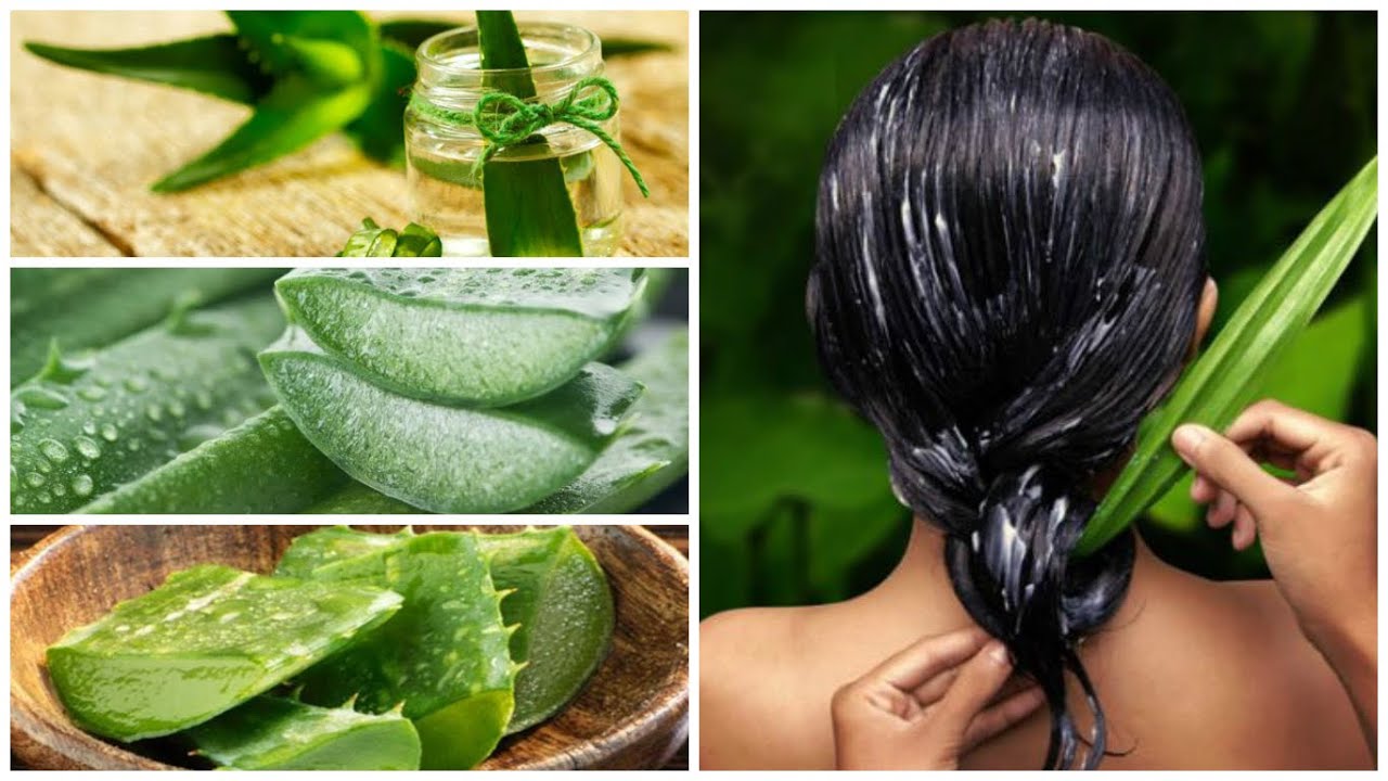 Tratamiento casero para la caida del cabello con aloe vera