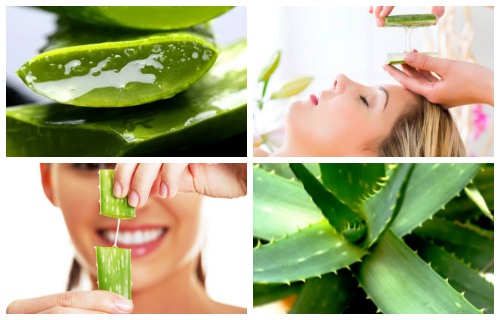 Beneficios del aloe vera en la piel dela cara