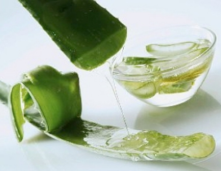 Hacer gel de aloe vera casero