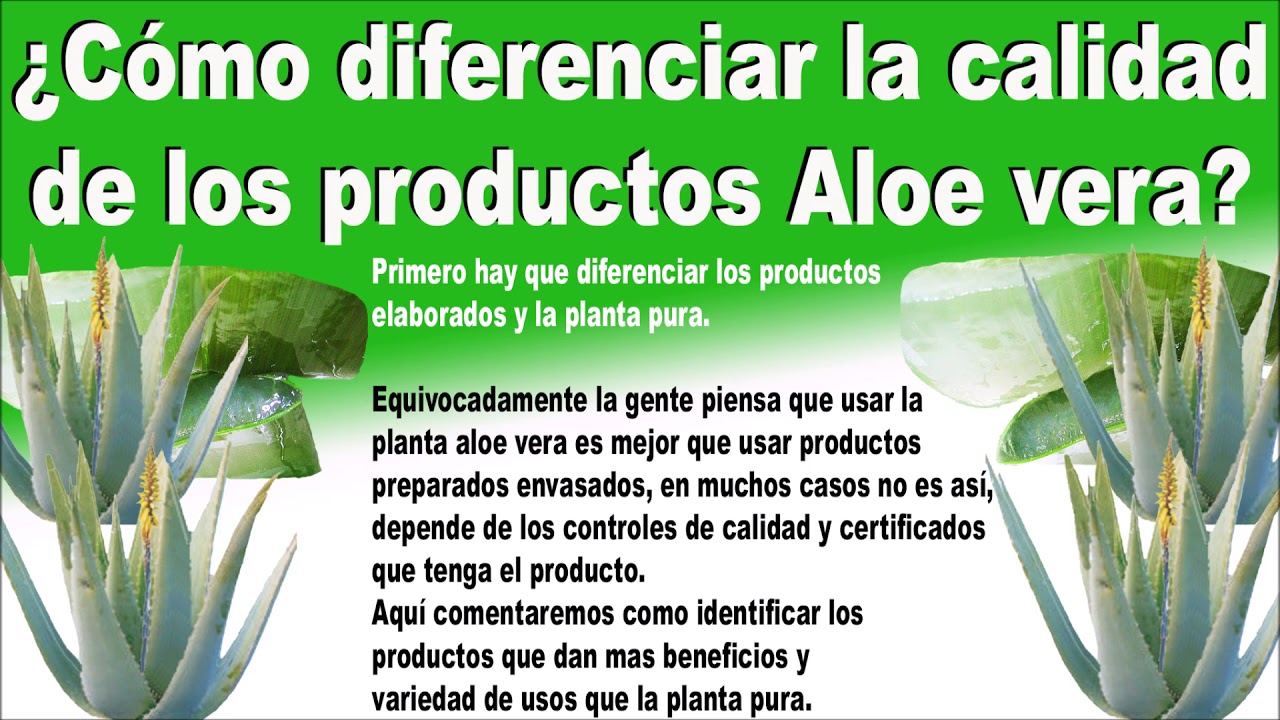Como diferenciar aloe vera