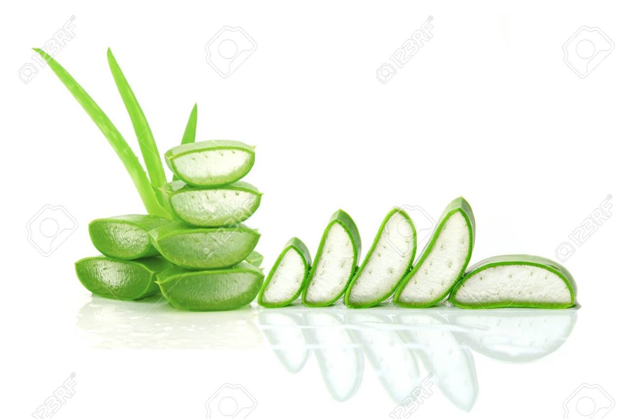 Aloe vera como cortar la hoja