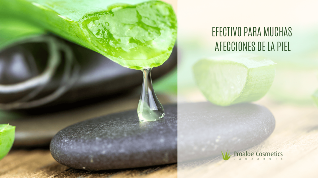 Como hacer jabon para la cara con aloe vera