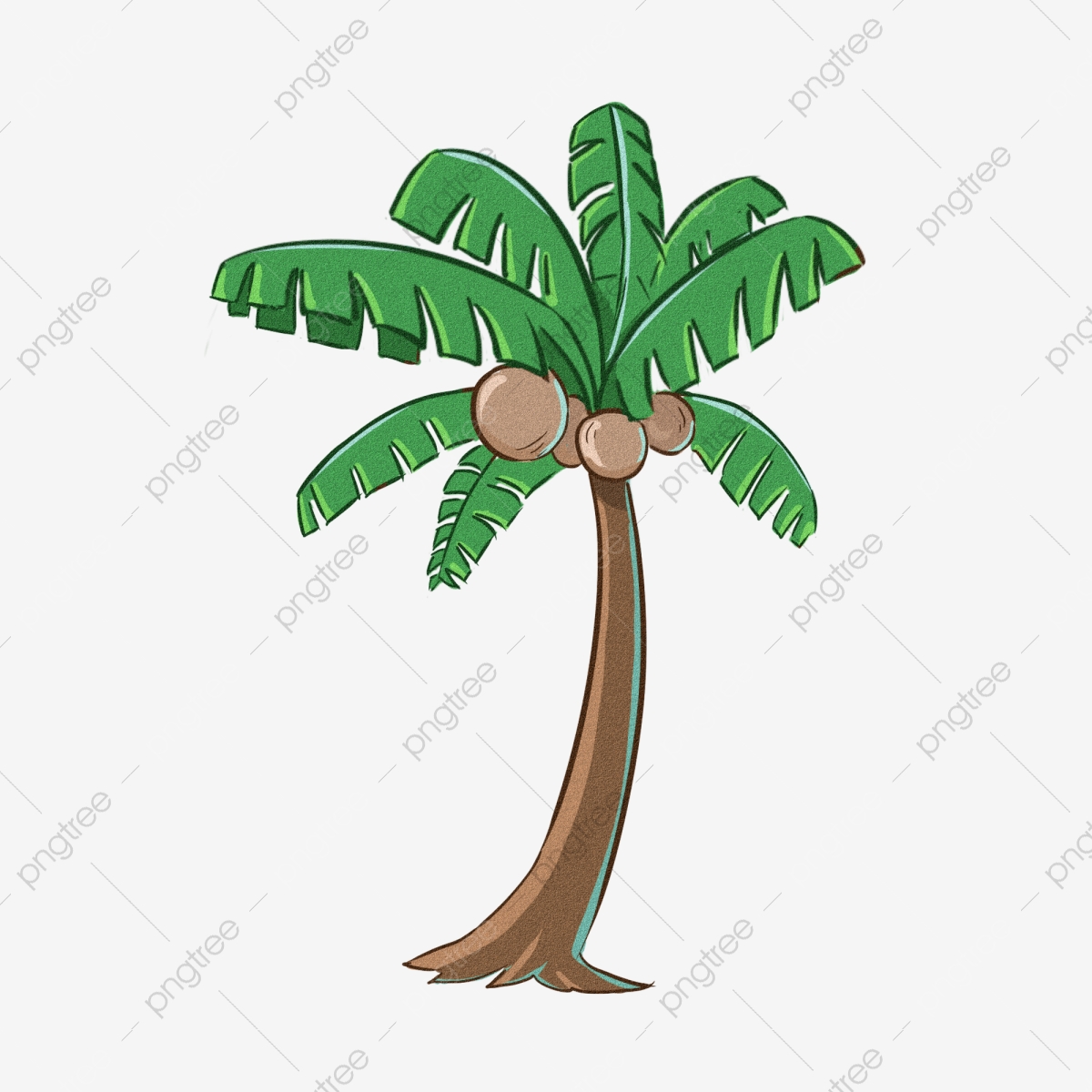 Cocotero definicion en español