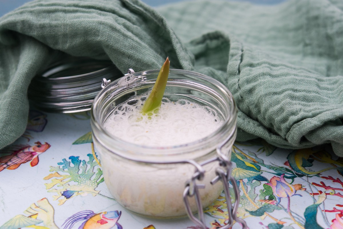 Receta crema de aloe vera natural