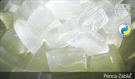 Principio activo de aloe vera