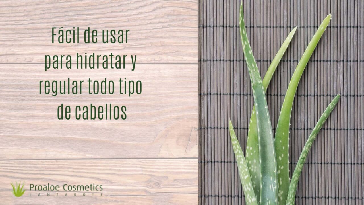 Aloe vera en el pelo para que sirve