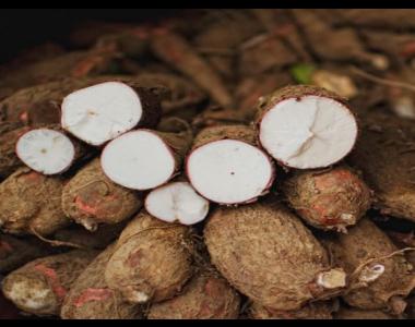 Beneficios de comer yuca