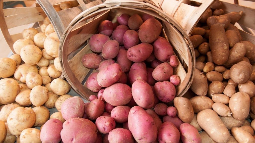 Papas de yuca