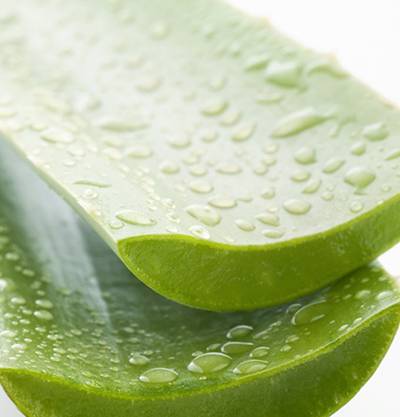 Para que sirve mascarilla de aloe vera